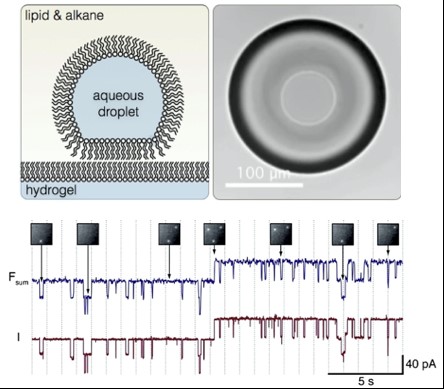 Mark Wallace Research Image 