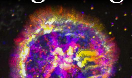 Cover of journal